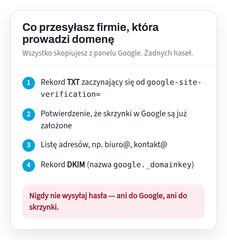 List: TXT record google-site-verification, confirmation of mailbox creation, list of addresses, DKIM record google._domainkey; never passwords